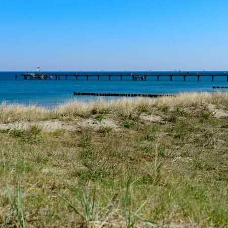 Christiana - Stranddistel *