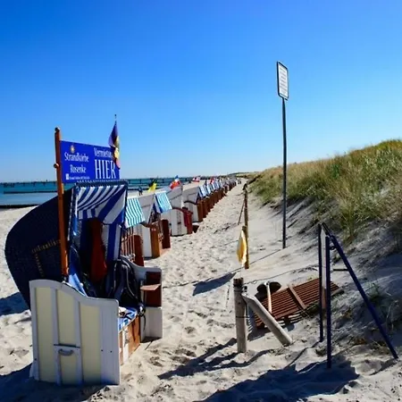Christiana - Stranddistel